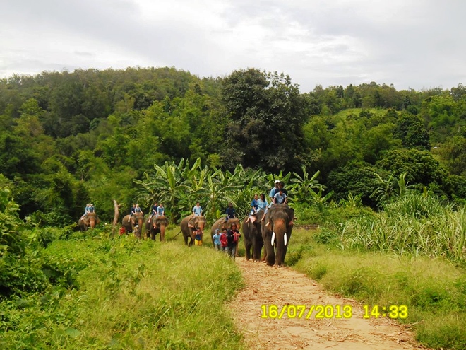 Balade à dos d'éléphants (Baan Chang Elephant Park - Chiang Mai) Balade à dos d'éléphants (Baan Chang Elephant Park - Chiang Mai)