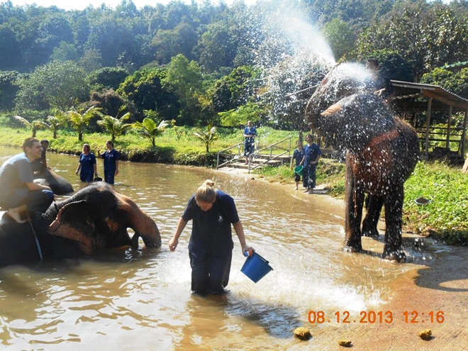 Agréable moment avec les éléphants pendant le bain