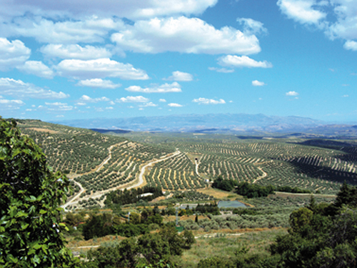 Panorama depuis les remparts d'Ubeda (Andalousie-Espagne) Panorama depuis les remparts d'Ubeda (Andalousie-Espagne)