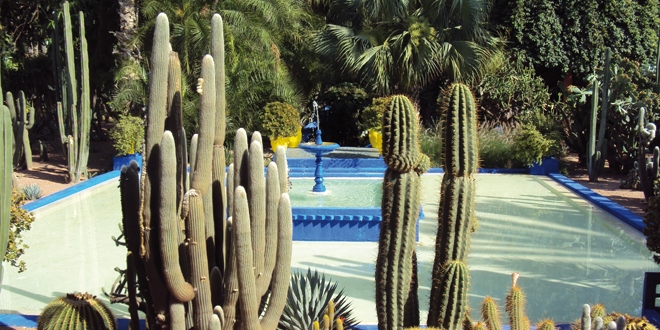 Visiter le Jardin Majorelle à Marrakech