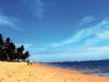 Découvrir Praia do forte au nord de Salvador de Bahia