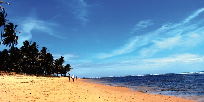 Découvrir Praia do forte au nord de Salvador de Bahia