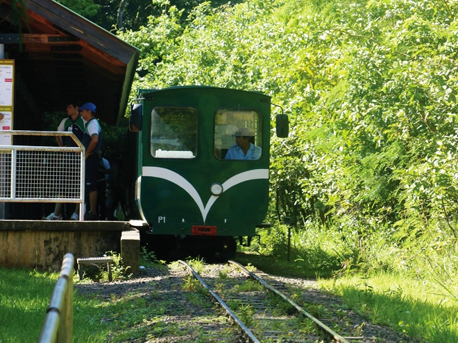 A l'intérieur du parc national d'Iguazu en Argentine les déplacements se font en petit-train A l'intérieur du parc national d'Iguazu en Argentine les déplacements se font en petit-train