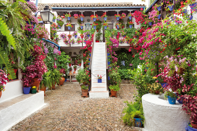 Un des nombreux patios fleuris à Cordoue Un des nombreux patios fleuris à Cordoue