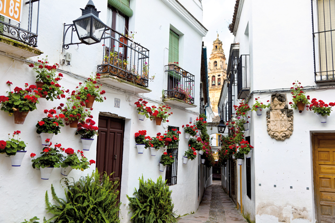 la rue des fleurs de Cordoue (La Calleja de las Flores) la rue des fleurs de Cordoue (La Calleja de las Flores)