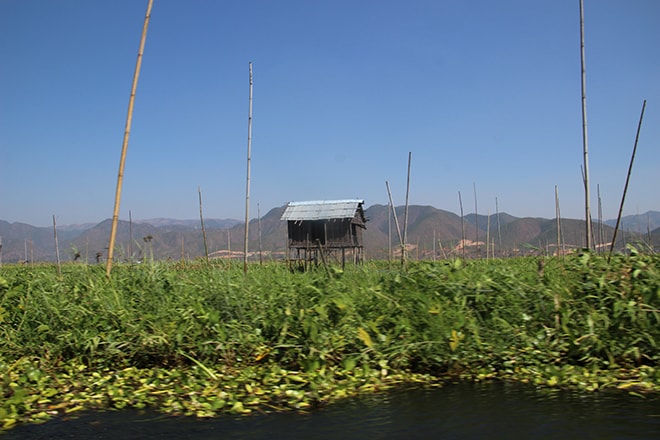 lac Inle Birmanie Jardins flottants lac Inle Birmanie Jardins flottants