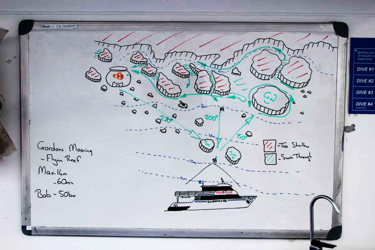 Brief Plongee Bateau Cairns
