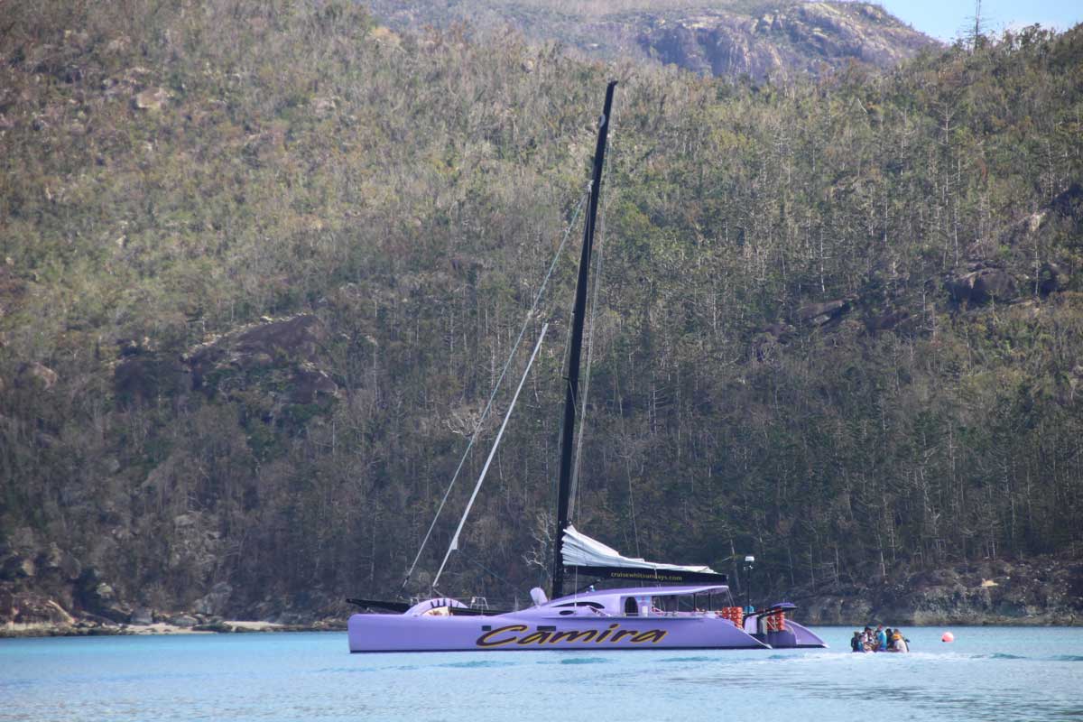 Camira Whitsundays Australie