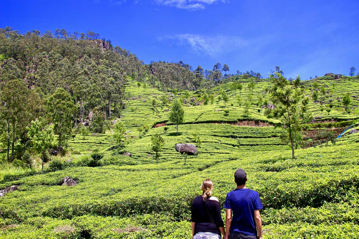 5 jours dans les montagnes et les plantations de thé au Sri Lanka