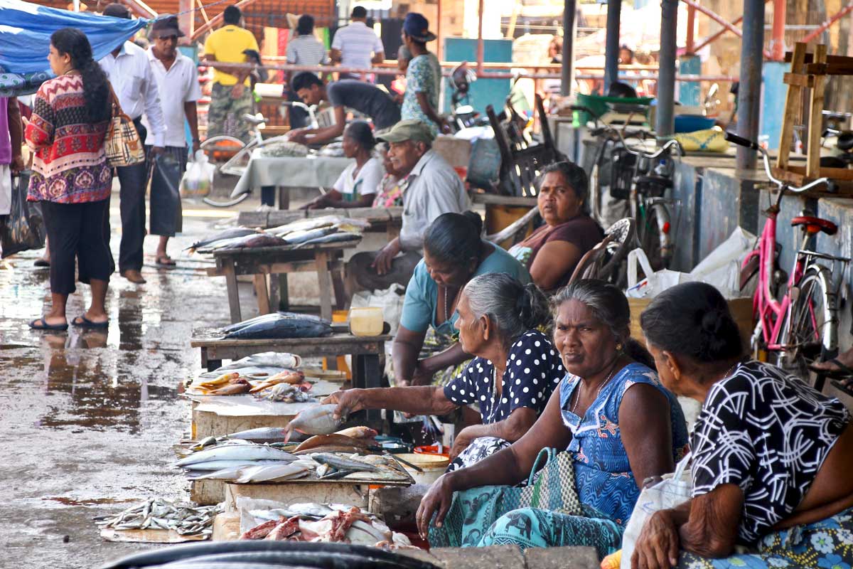 2 jours à Negombo, un village de pêcheurs au Nord de Colombo