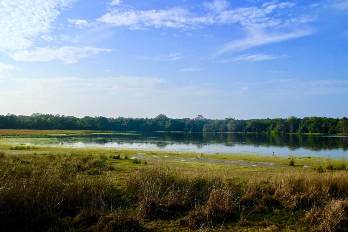reservoir Safari Wilpattu National Park