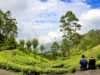 1 mois de voyage au Sri Lanka : notre itinéraire