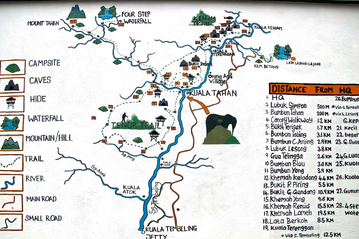 plan taman negara jungle malaisie