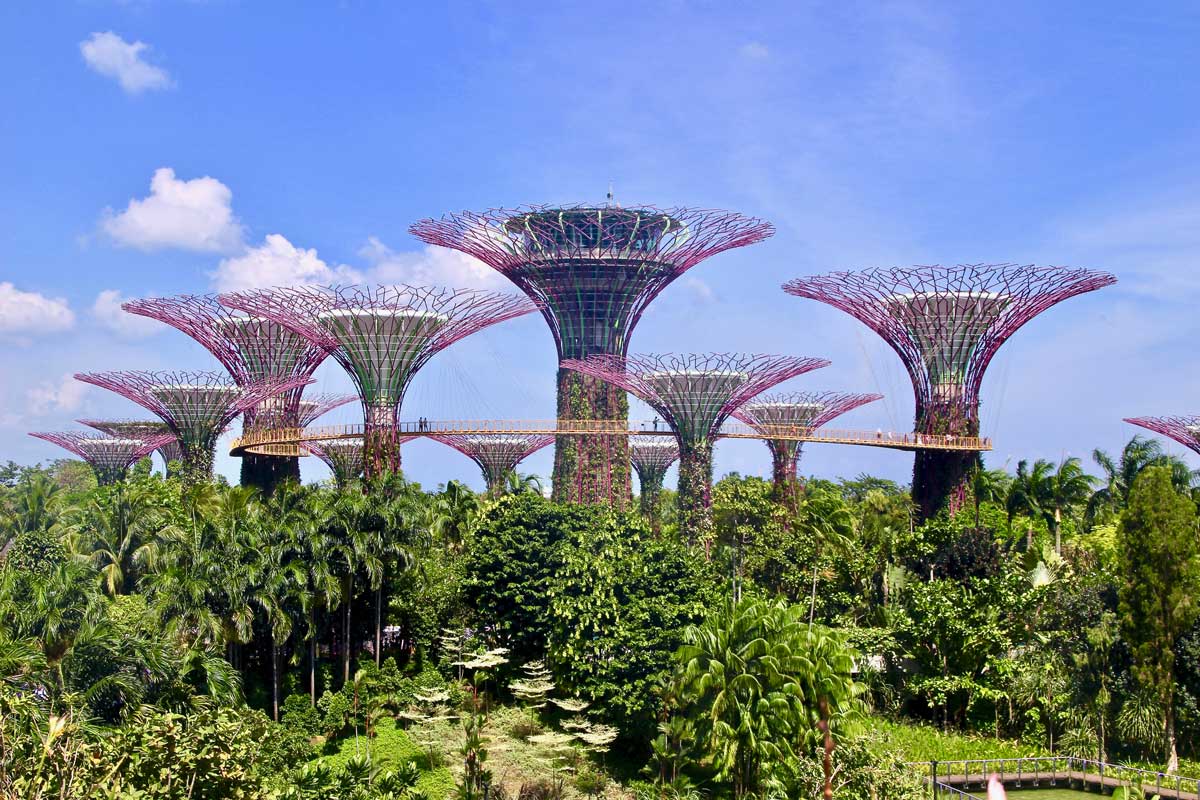 singapour Gardens by the Bay arbres