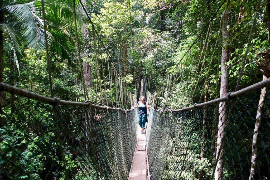 taman negara jungle tour