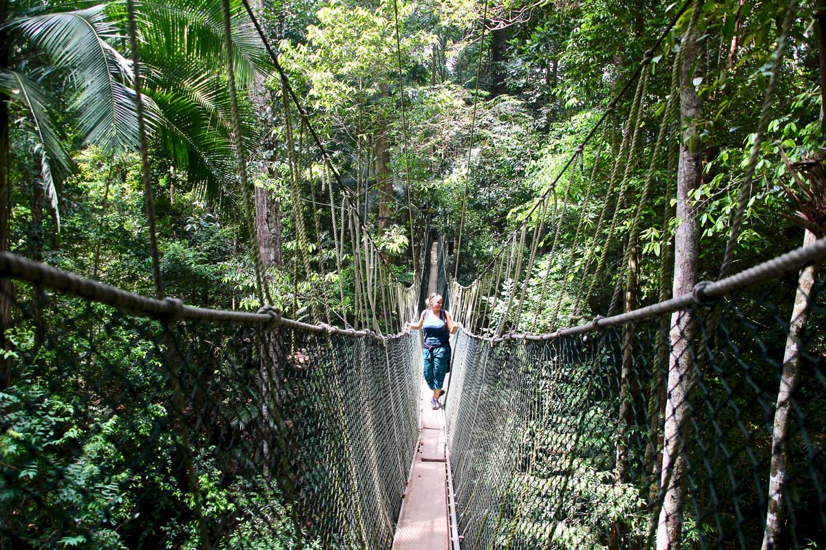 À la découverte de la jungle de Taman Negara : 2 jours de trek