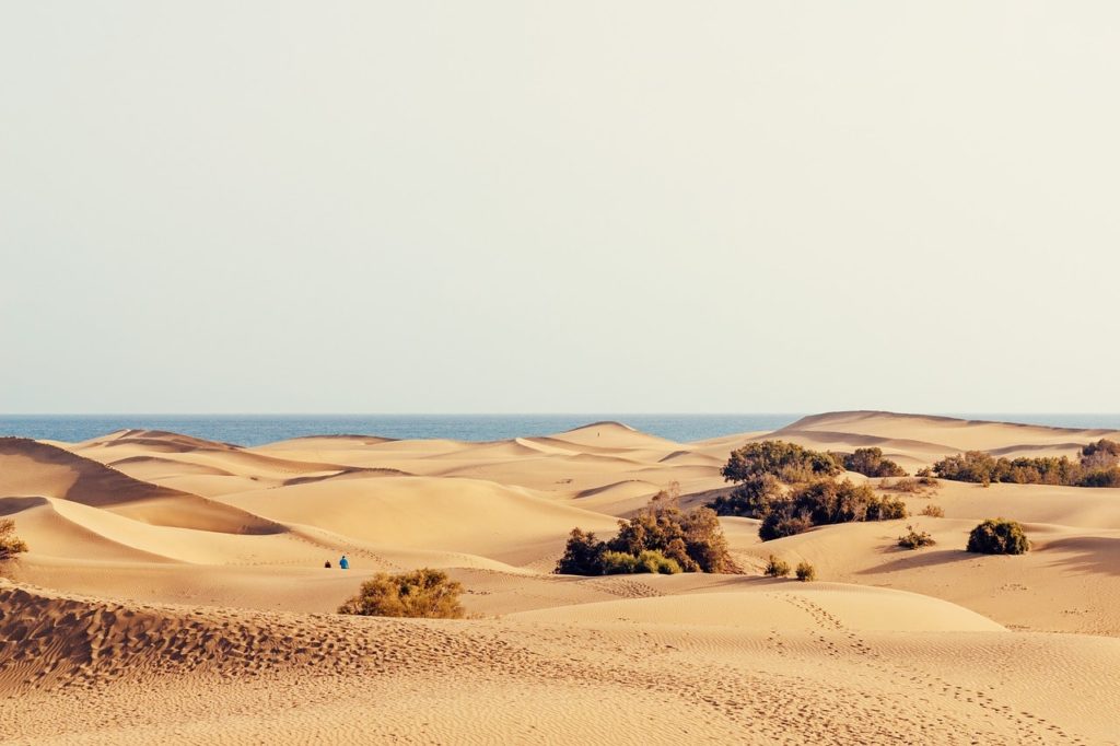 dunes Maspalomas grande canarie