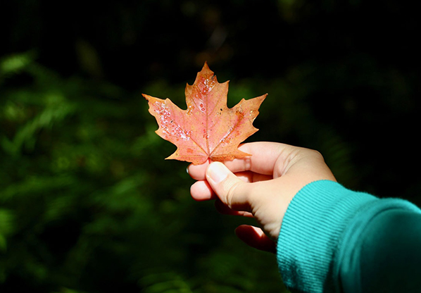 preparer-PVT-Canada - blog voyage
