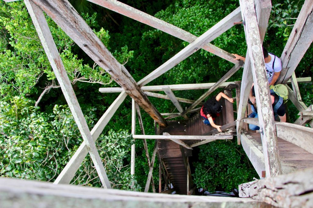 Montée tour observation réserve Sian Ka'an Tulum Mexique