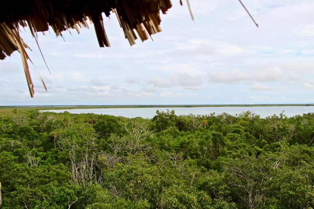 Vue tour observation réserve Sian Ka'an Tulum Mexique