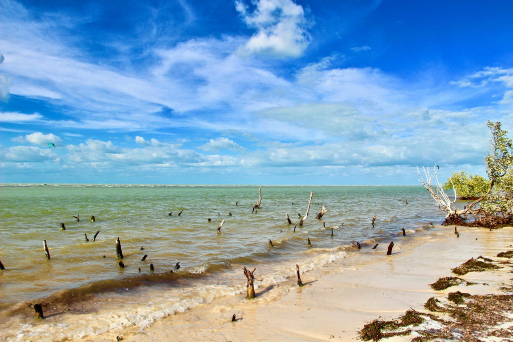 Punta mosquito Holbox Yucatan
