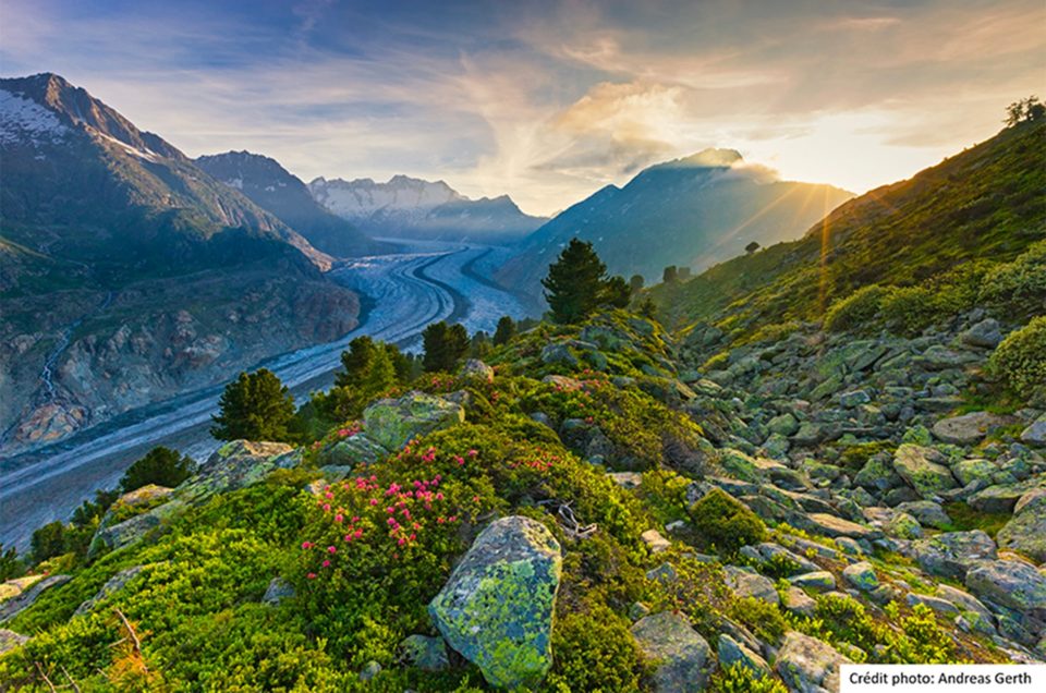 Glacier d'Altesch par Andreas-Gerth Suisse