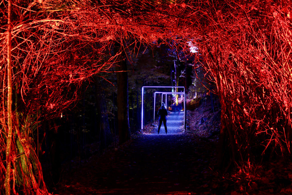 Tonga Lumina mont-tremblant-quebec