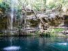 Nos plus beaux cenotes au Yucatan