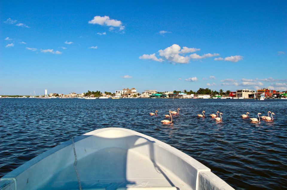 Voir les Flamants Roses à Rio Lagartos