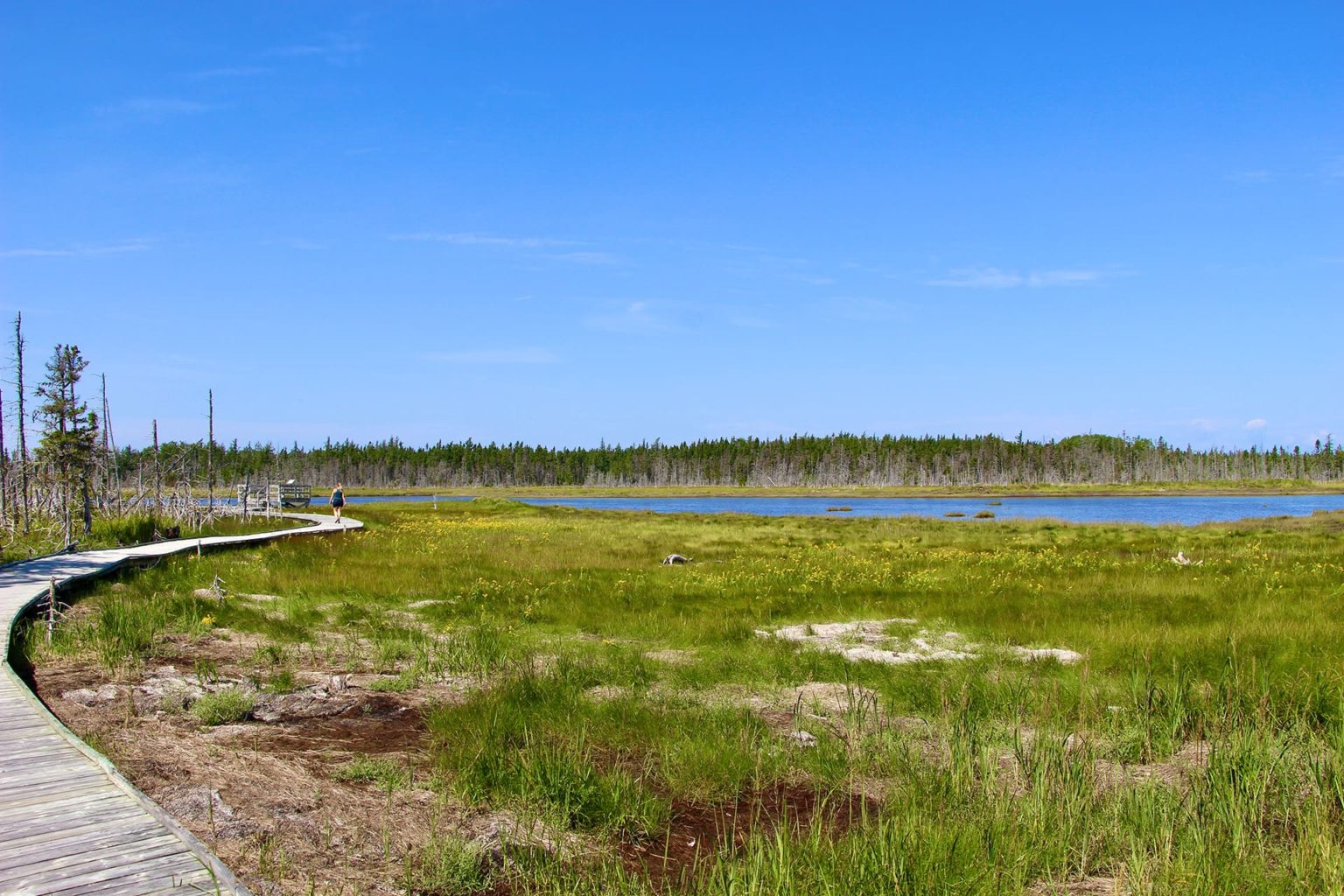 Une journée sur les îles Lamèque et Miscou au Nouveau Brunswick