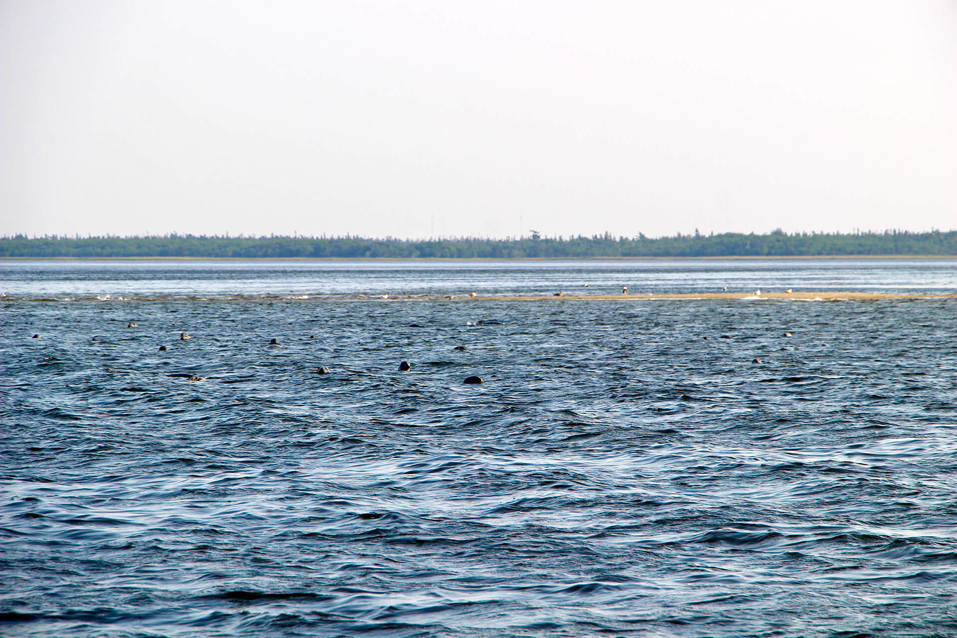 Une journée dans le parc national Kouchibouguac