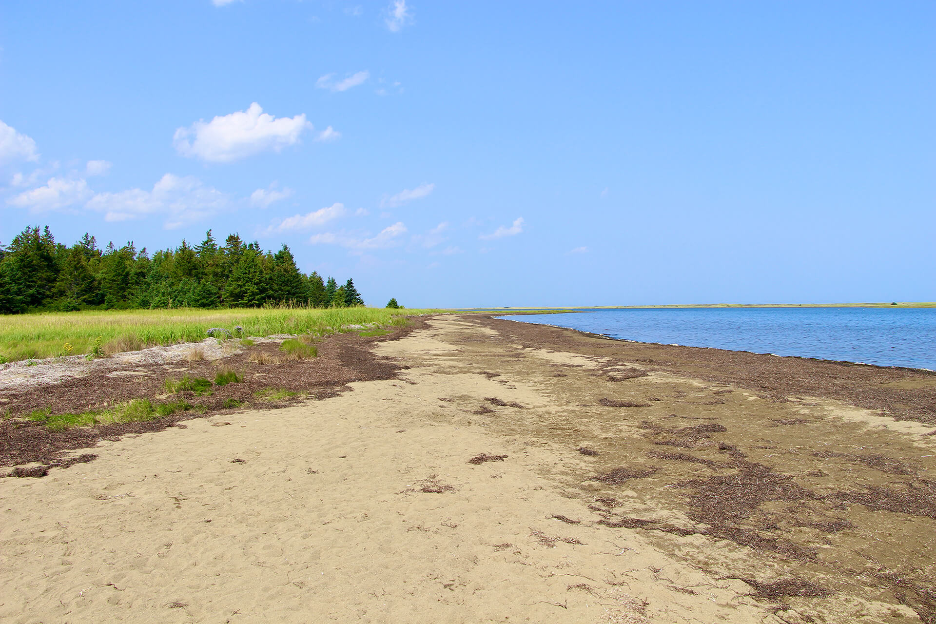 Une journée dans le parc national Kouchibouguac