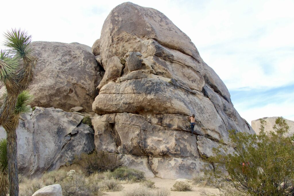 Cap Rock Joshua Tree Park