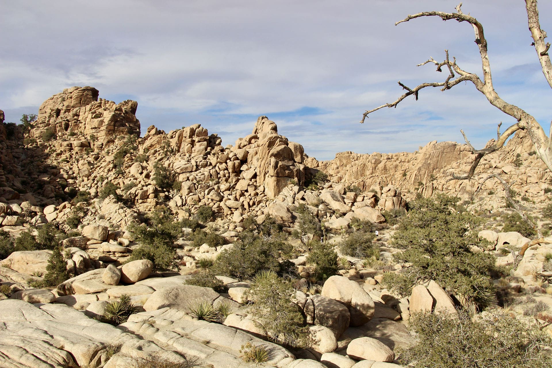 Hidden Valley Joshua Tree Park